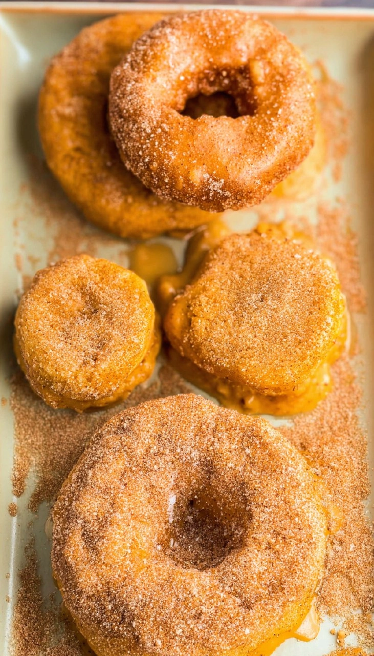 Air Fryer Apple Cider Donuts 75 Air Fryer Apple Cider Donuts